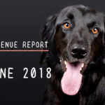 ＜REVENUE REPORT＞2018年6月の収入報告｜ひかるぶろぐ