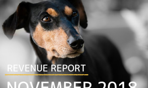 《REVENUE REPORT》2018年11月とうとう月間３万PVを超えました