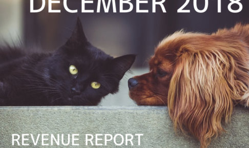 《REVENUE REPORT》2018年12月